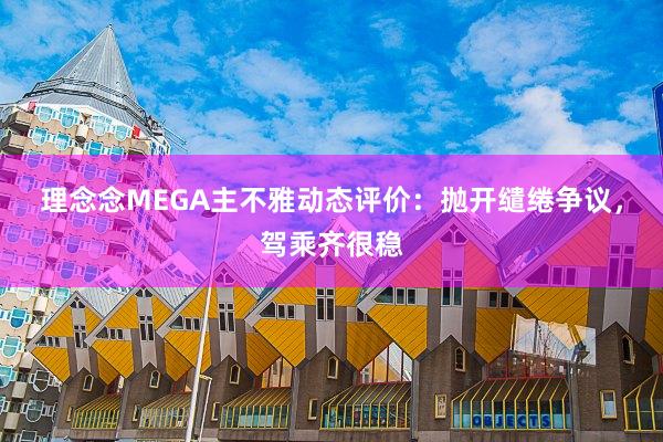 理念念MEGA主不雅动态评价：抛开缱绻争议，驾乘齐很稳