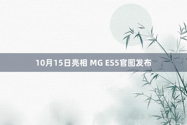 10月15日亮相 MG ES5官图发布