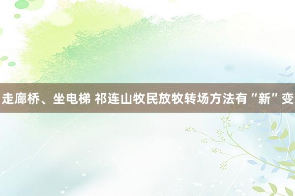 走廊桥、坐电梯 祁连山牧民放牧转场方法有“新”变