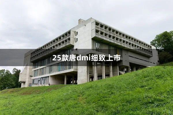 25款唐dmi细致上市