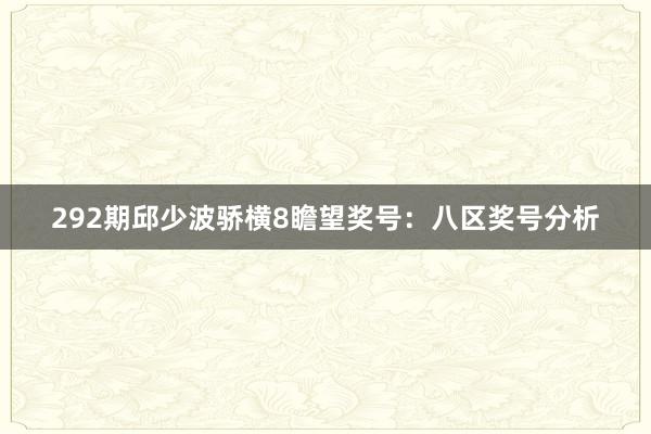 292期邱少波骄横8瞻望奖号：八区奖号分析