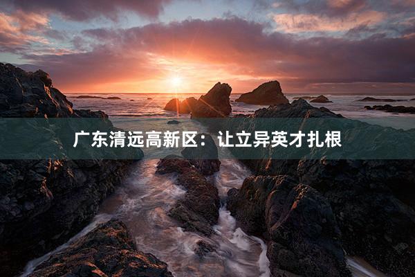 广东清远高新区：让立异英才扎根